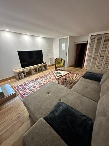 a living room with a couch and a flat screen tv at Le loft - hypercentre de Tours in Tours