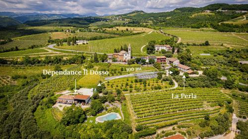 an aerial view of a vineyard with a house at Agriturismo La Perlara - Adults Only in Verona
