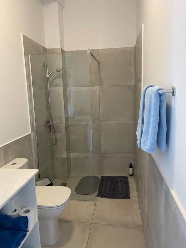 a bathroom with a shower and a toilet at Shaunagh's Place Crag Apartment in Kalymnos