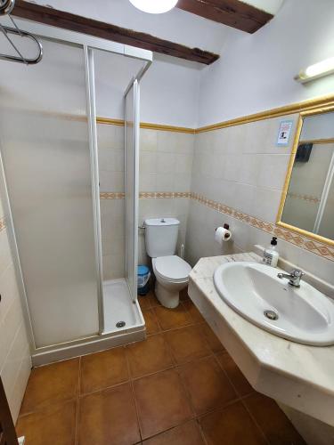 a bathroom with a shower and a sink and a toilet at Hotel Rural Papasol in Atapuerca