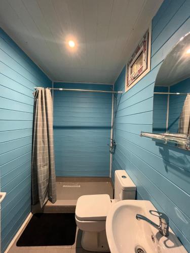 a blue bathroom with a toilet and a sink at Paulownia Garden in Mtskheta