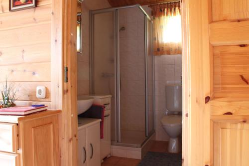 a bathroom with a shower and a toilet at Ferienhaus-Kuenzel in Viechtach