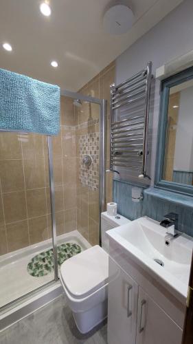 a bathroom with a toilet and a sink and a shower at Sunnyside House in Rothesay