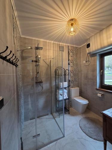 a bathroom with a shower and a toilet at Jagodowa Czulnia in Zwierzyń