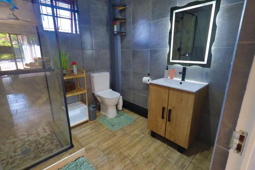 a bathroom with a toilet and a sink and a mirror at PINE COTTAGE Self catering fully equipped 2 bedroom, Queen bed 3 singles 65sqm cosy private cottage in Durban