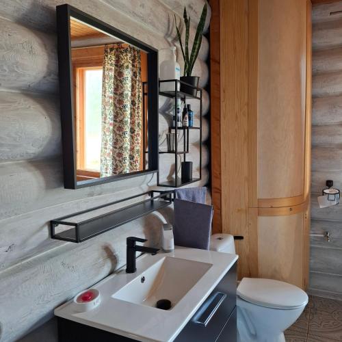 a bathroom with a sink and a mirror at Guest House Lēveri in Valgalciems