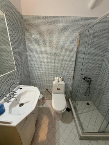 a bathroom with a shower and a toilet and a sink at PALIO LIMANI APARTMENTS in Spetses