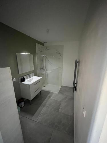 a bathroom with a shower and a white sink at la petite colline in Cavaillon