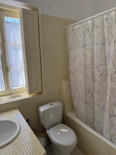 a bathroom with a toilet and a sink and a shower curtain at PALIO LIMANI HOUSE in Spetses