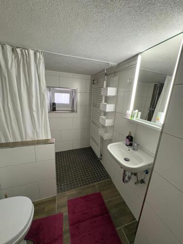 a bathroom with a sink and a toilet and a shower at Landglück in Ibbenbüren