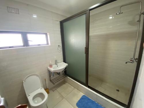 a bathroom with a shower and a toilet and a sink at The 'C' Apartments in Mansa