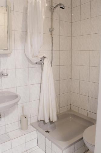 a bathroom with a shower with a sink and a toilet at Hotel Restaurant Blumenhof in Baesweiler