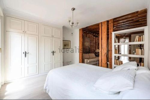 Loft Madrid Centre