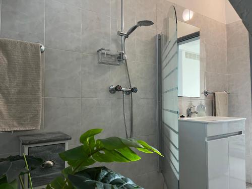 a bathroom with a shower and a sink at Casa Vista do Ledo in Arco da Calheta