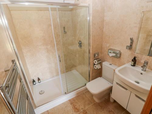 a bathroom with a shower and a toilet and a sink at Willow Apartment - Gower in Swansea