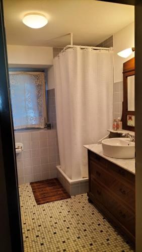 a bathroom with a shower and a sink at B&B Herberg im Eichberg in Dettighofen