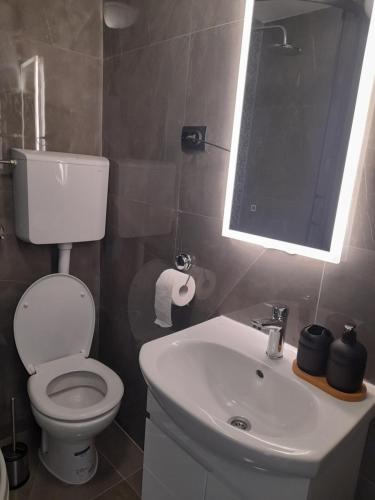 a bathroom with a toilet and a sink and a mirror at Goga2 in Pirovac