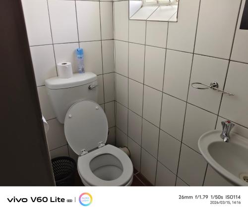 a small bathroom with a toilet and a sink at Firehouse self-catering unit 6 in Wellington