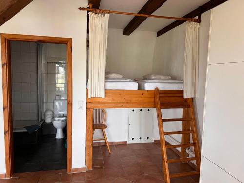 a bedroom with a bunk bed and a bathroom at Pension Schmelzer in Kägsdorf