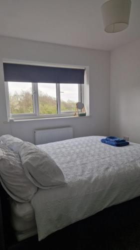 a white bedroom with a bed with a window at Amani Sanctuary 2 Bedroom House in Sherburn Hill