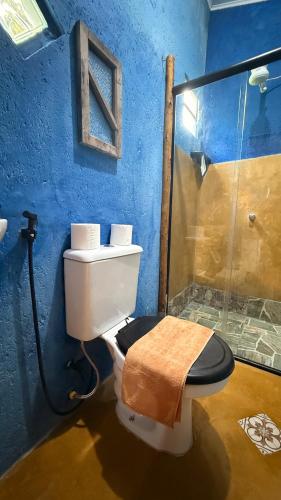 a blue bathroom with a toilet and a shower at Chalé Orion in Lençóis