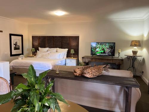 a bedroom with a bed and a couch with a television at Penny Royal Guest Cottages in Somerset West