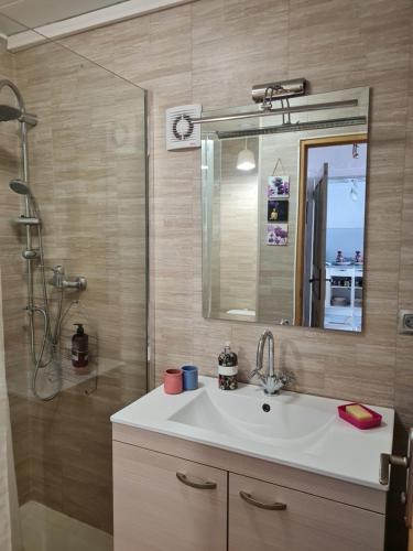 a bathroom with a sink and a shower at a casetta di a Faragina in Zonza