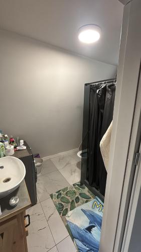 a bathroom with a sink and a shower at Domek letniskowy Jemiołowo in Olsztynek