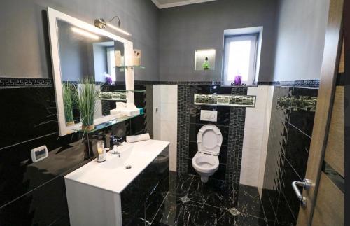 a bathroom with a toilet and a sink and a mirror at KK Vip Apartment in Palić