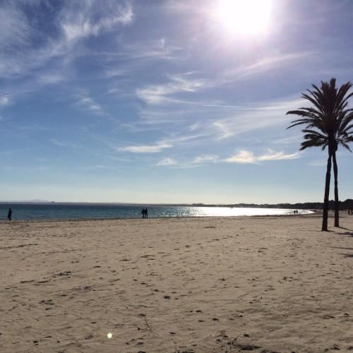 Foto Minerva Beach 6