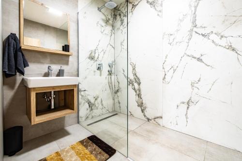a bathroom with a shower and a sink at San Marco - Na Brněnské ulici in Mutěnice