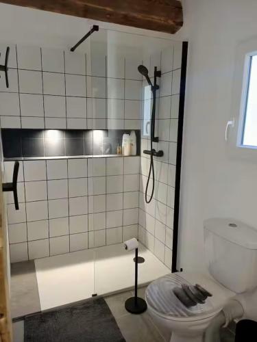 a bathroom with a shower and a toilet at Chez Diane et Bruno in Pernes-les-Fontaines