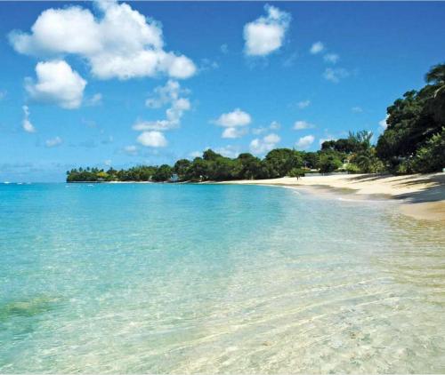 a beach with clear water and trees in the background at Walk to Beach New Stylish 3BR Pool in Saint James