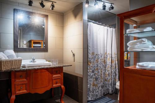 a bathroom with a sink and a shower with a mirror at Residence Havre d'abraham in Laval
