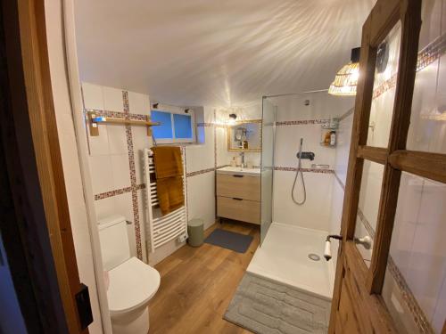 a small bathroom with a toilet and a shower at Maison de charme en pierre in Porto Ota
