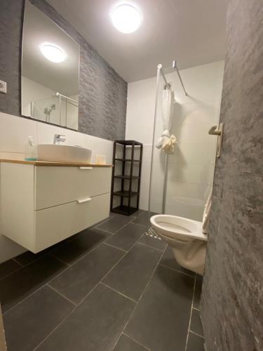 a bathroom with a toilet and a sink and a mirror at Altstadt Düsseldorf 1 in Düsseldorf