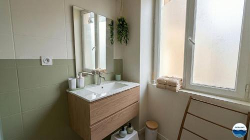 a bathroom with a sink and a mirror at La Suite Vegetale Studio Prestige Hyper Centre in Mâcon