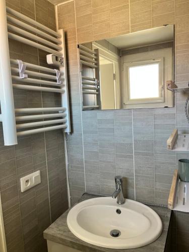 a bathroom with a sink and a mirror at Maison de village in Collanges