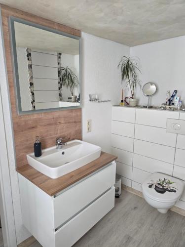 a bathroom with a sink and a toilet at Ferienwohnung Nicole in Schneeberg