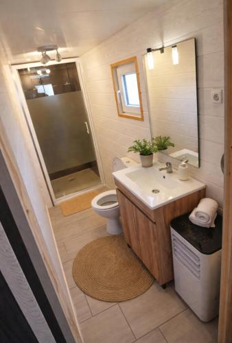 a bathroom with a sink and a shower and a toilet at Mobil-home rénové tout confort, terrasse couverte, climatisation, arrivée autonome in Fourmies