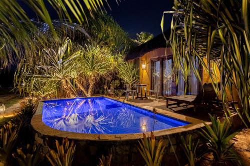 a swimming pool in the middle of a garden at night at Pousada Spa dos Amores in São Miguel do Gostoso