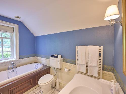 a blue bathroom with a tub and a toilet and a sink at Erve Het Klaashuis in Deurningen