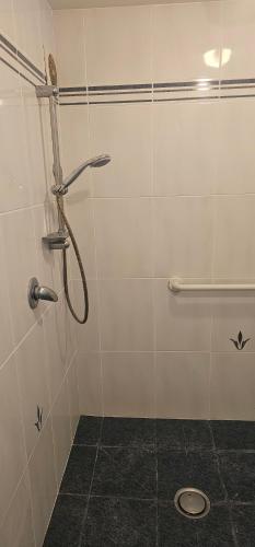 a shower stall in a bathroom with a toilet at Mansio Awatere in Snells Beach