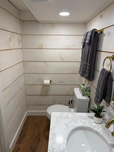 a bathroom with a white toilet and a sink at Backyard Tiny House in the Woods in Tolland