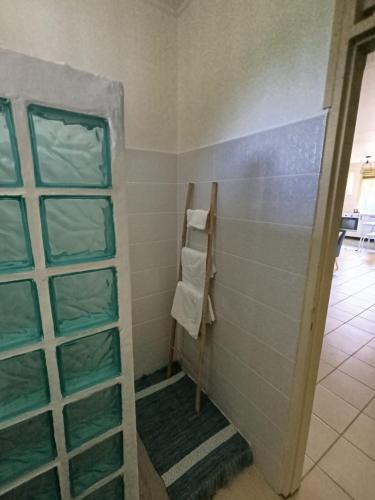 a bathroom with a towel rack and a shower at Villa dix blue in Kourou