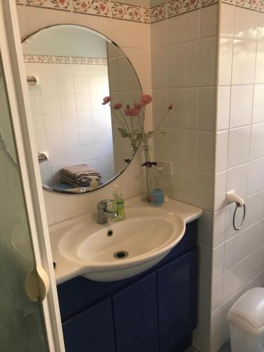 a bathroom with a sink and a mirror at The Mango Tree in Fingal Bay