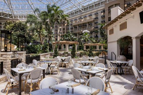 Gaylord Palms Resort & Convention Center photo 34