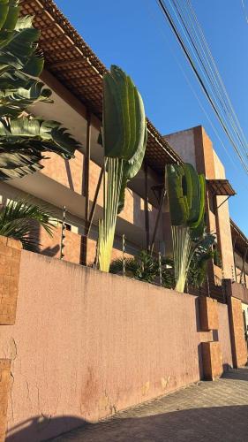 two plants on a wall next to a building at Sol, mar, equilíbrio perfeito praia do frances! in Marechal Deodoro