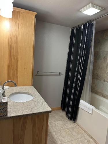 a bathroom with a sink and a shower curtain at Lake Wisconsin Resort in Harmony Grove