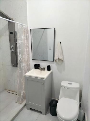 a bathroom with a toilet and a sink and a mirror at Depa Loft Monterrey cerca de Fundidora, Macroplaza y Barrio Antiguo in Monterrey